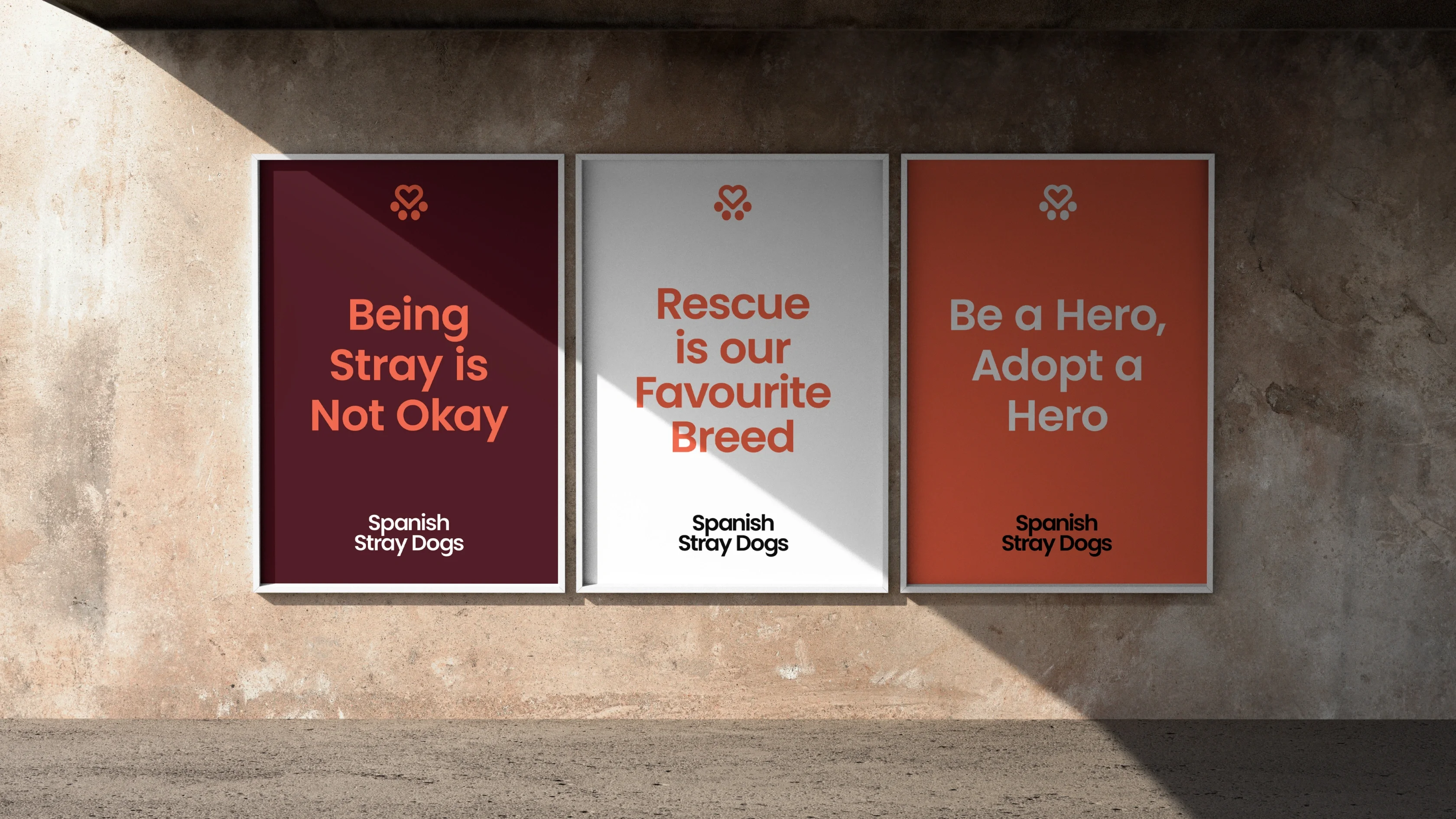 Three charity posters on a concrete wall advertise Spanish Stray Dogs, promoting the adoption and rescue of stray dogs.