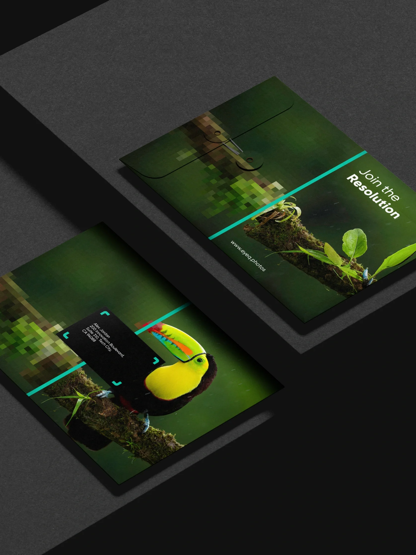 Two folders with a toucan on a mossy branch, Join the Revolution—a Perfectly Clear, nature-themed UI for your website.