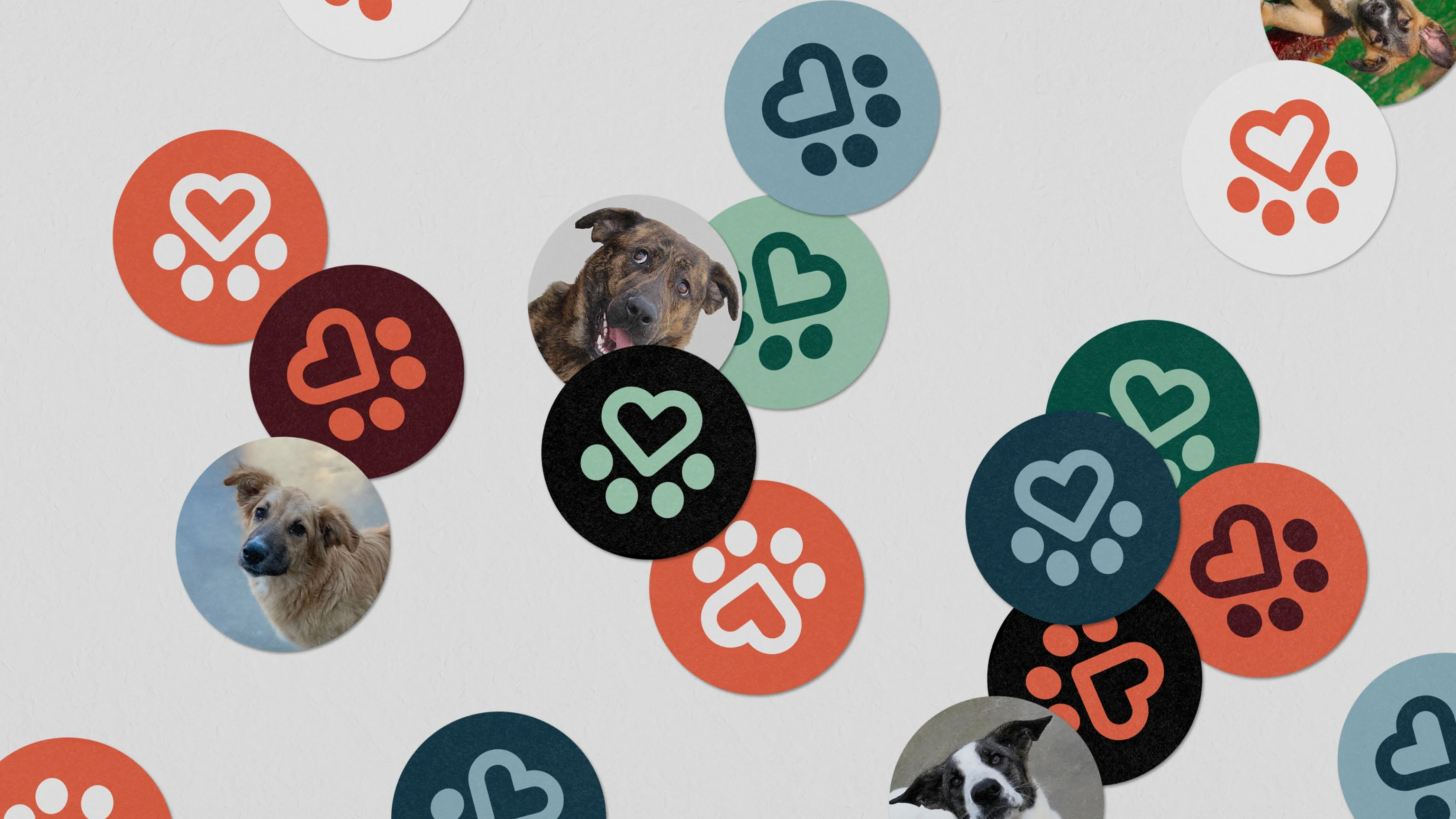 Scattered charity tokens with heart-shaped paw prints and some featuring Spanish Stray Dogs photos, all on a light background.