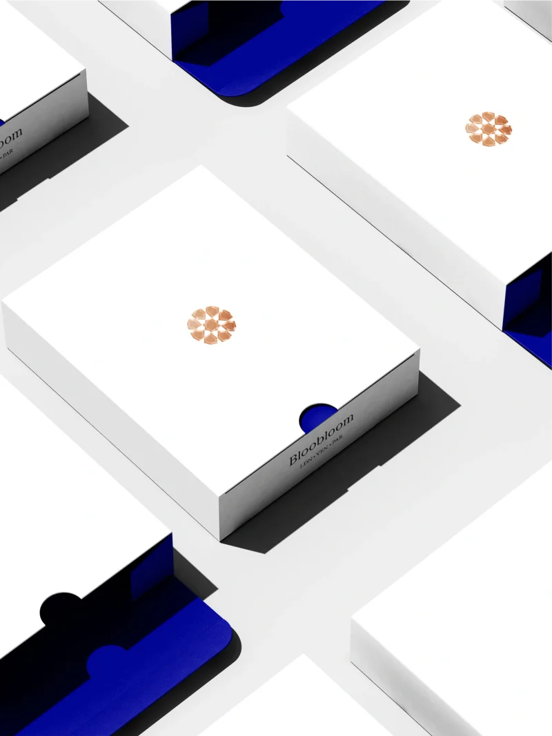 Bloobloom square boxes design by Bodkin Studio.