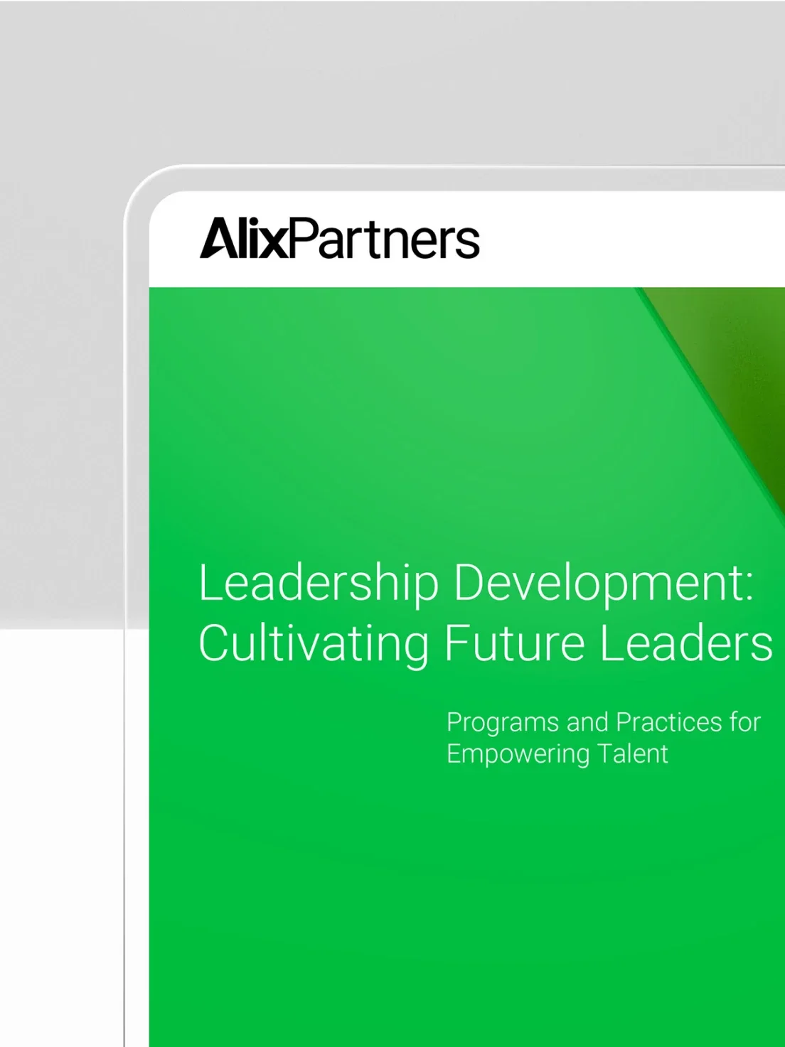 AlixPartners leadership document and business cards