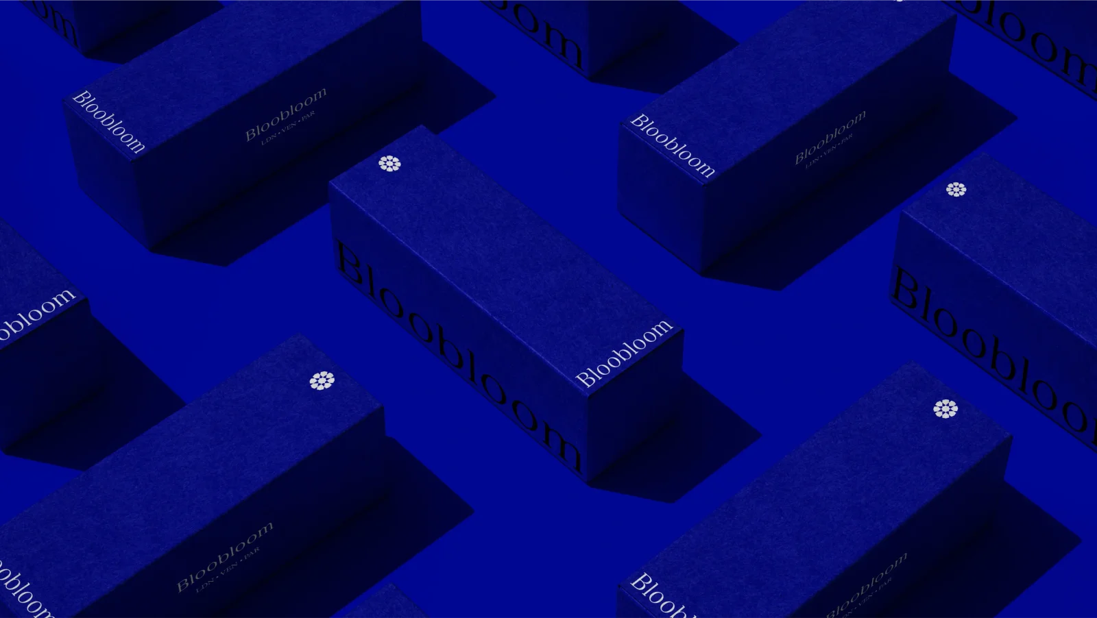 Bloobloom glasses blue packaging design by Bodkin Studio.