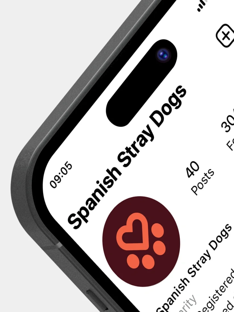 A phone screen displays the Spanish Stray Dogs charity social media profile, featuring a heart and paw print logo.