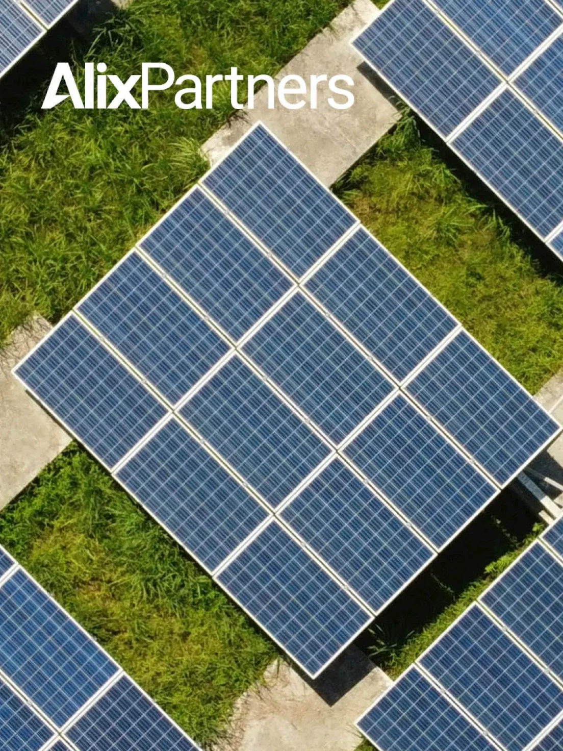 Sustainability-focused AlixPartners brand graphic