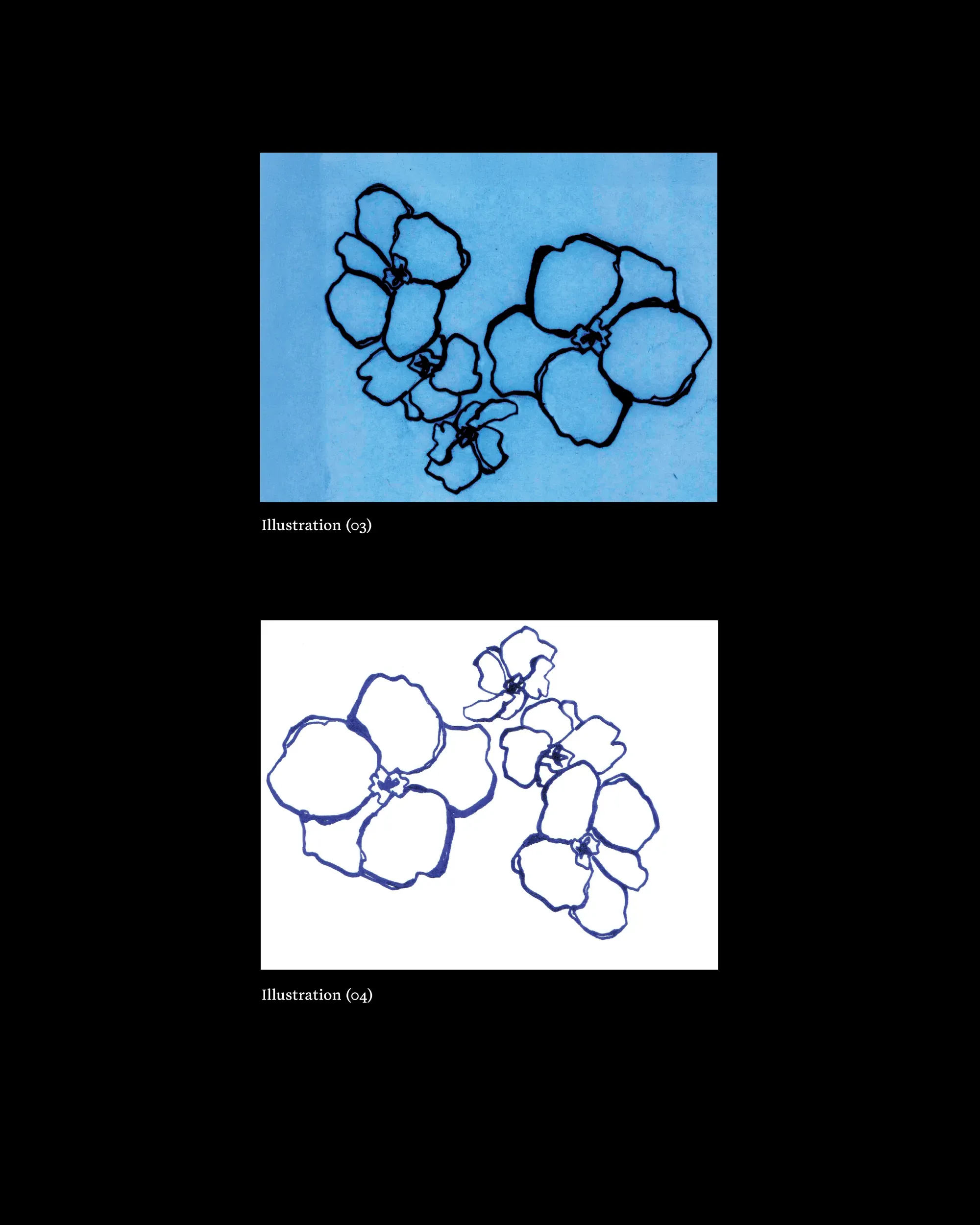 Two ink illustrations of flowers, one in black ink on blue paper and one in blue ink on white